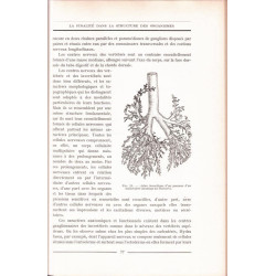 Vie et finalité