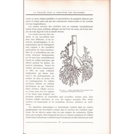 Vie et finalité