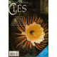 Nouvelles Clés 2