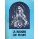 La madone qui pleure - La vierge de Syracuse