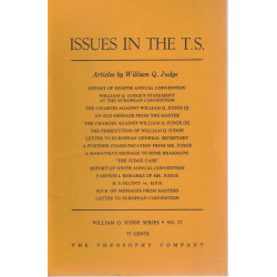 Issues in the T.S