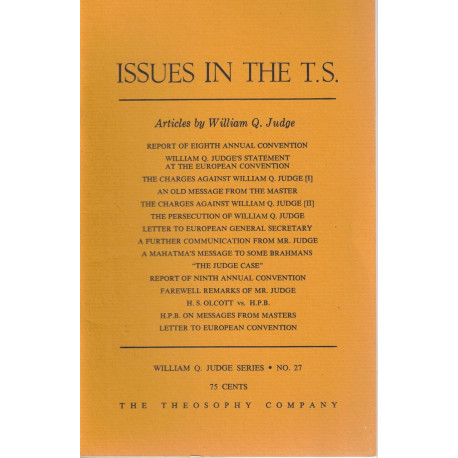 Issues in the T.S