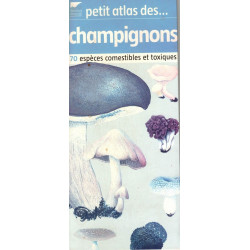 Petit atlas des champignons