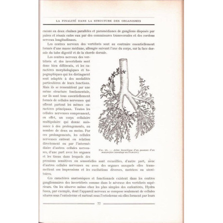 Vie et finalité