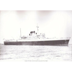 La guerre d'Algérie 54 - 62 la Toussaint rouge