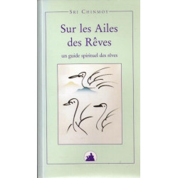 Sur les ailes des reves. un guide spirituel du monde des rêves